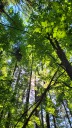 Dateiname=20260522_154914.jpg
Dateigröße=1306KB
Abmessungen: 675x1200
hinzugefügt am: 26. Mai 2026 20260522_154914.jpg