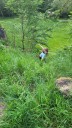 20260524_200414.jpg