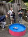 Dateiname=2025-06_EQ_Con_Skyjawn_286029.jpg
Dateigröße=1335KB
Abmessungen: 1200x1600
hinzugefügt am: 30. Juni 2025 2025-06_EQ_Con_Skyjawn_286029.jpg