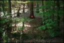 EQ26_1957_ein_Ziel_im_Walde.jpg