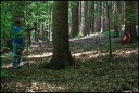 Dateiname=EQ26_2001_Farbkleckse_im_Wald.jpg
Dateigröße=1360KB
Abmessungen: 2500x1681
hinzugefügt am: 18. Juli 2026 EQ26_2001_Farbkleckse_im_Wald.jpg