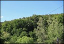 EQ26_2020_Gruen_und_Blau.jpg
