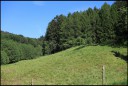 EQ26_2026_mehr_Gruen_und_Blau3_b.jpg