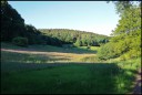 EQ26_2060_Abendlicht_mit_Kuehen.jpg